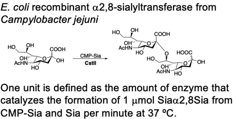 α-2,8-sialyltransferase;cstll